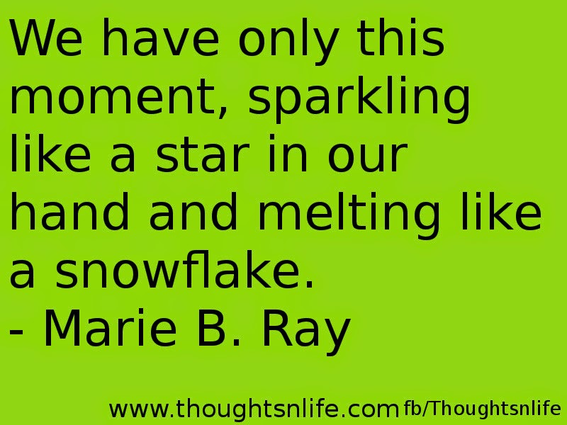 Thoughtsnlife.com: We have only this moment, sparkling like a star in our hand and melting like a snowflake. - Marie B. Ray