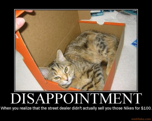disappointment-demotivational-poster-1204755189.jpg