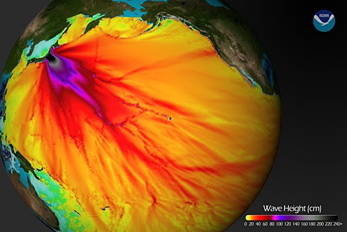 NOAA Graphics of the Tsunami Wave Height