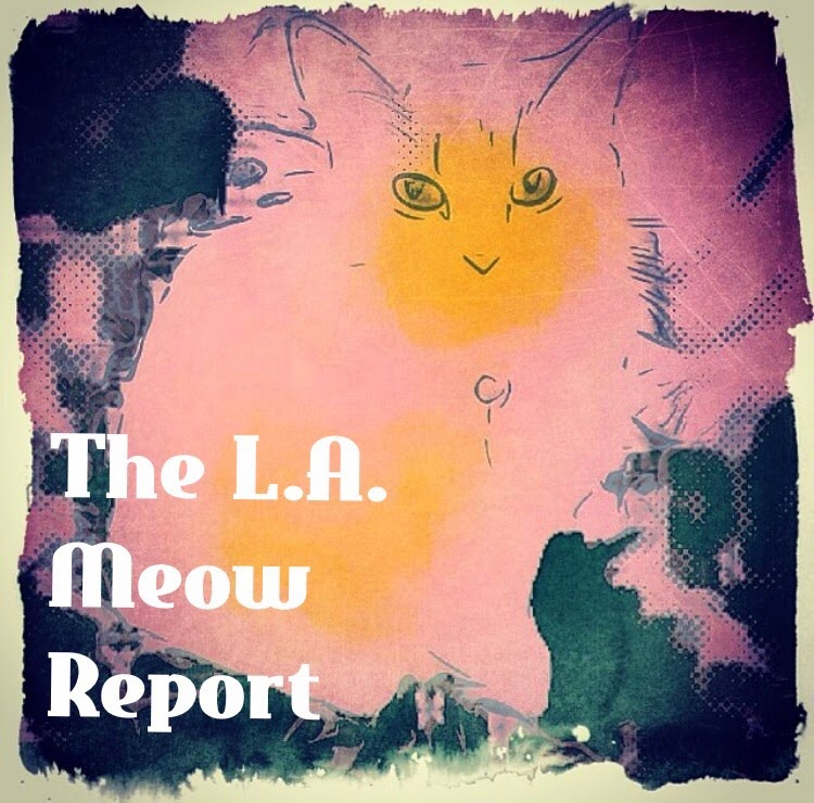 The L.A. Meow Report 