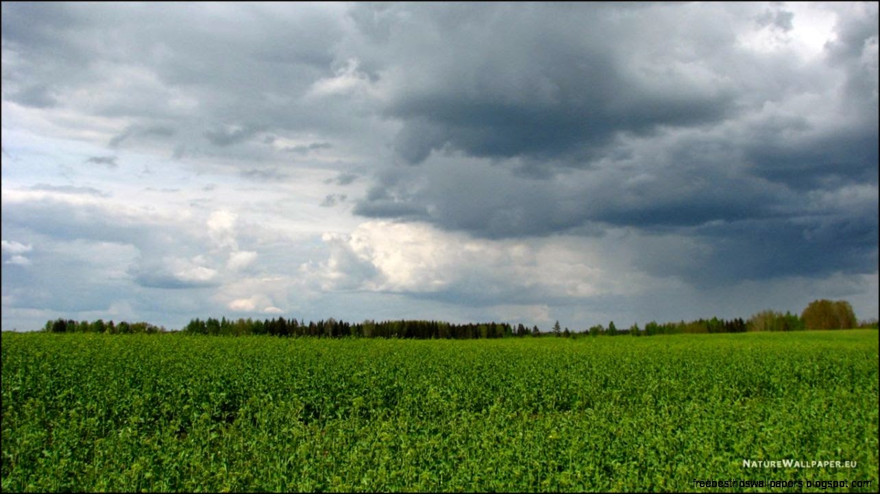 Wallpapers That Change Pictures Wallpaper Daily Wallpapers That Change Pictures Wallpaper Daily