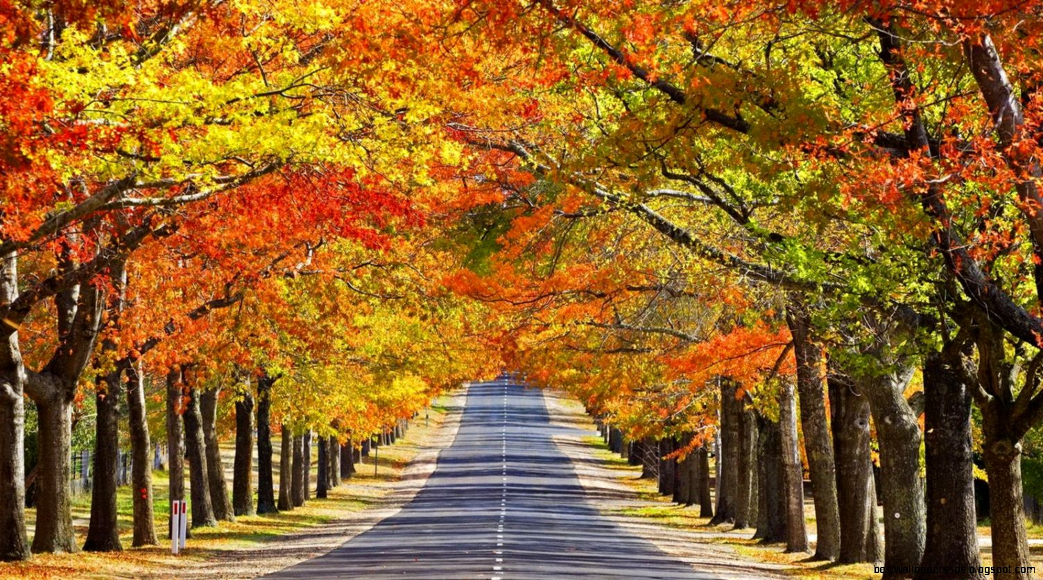 Fall Nature Wallpapers High Resolution Wallpaper 1600x900PX Fall Fall Nature Wallpapers High Resolution Wallpaper 1600x900PX Fall