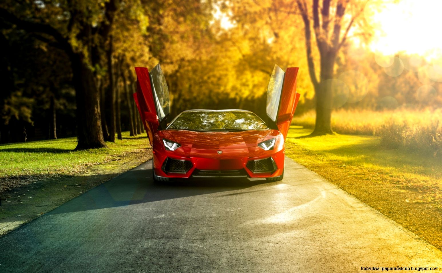 Lamborghini Aventador LP 700 4 Roadster Supercar Road Light 7010190 Lamborghini Aventador LP 700 4 Roadster Supercar Road Light 7010190