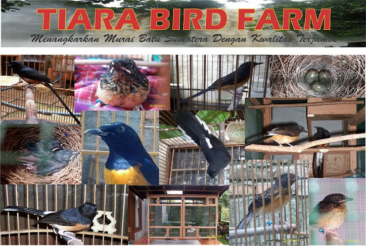 TIARA BIRD FARM