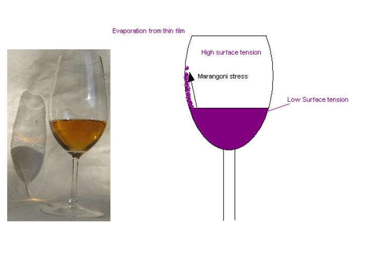 Dyne With Me Your Wine's Got No Legs