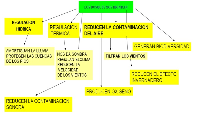 El caldén: un árbol que nos identifica a los pampeanos: Esquema sobre