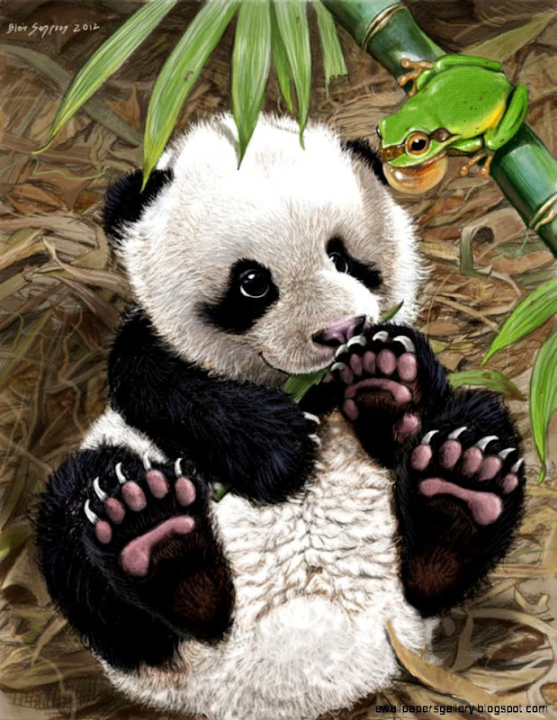 Adorable Panda Pictures