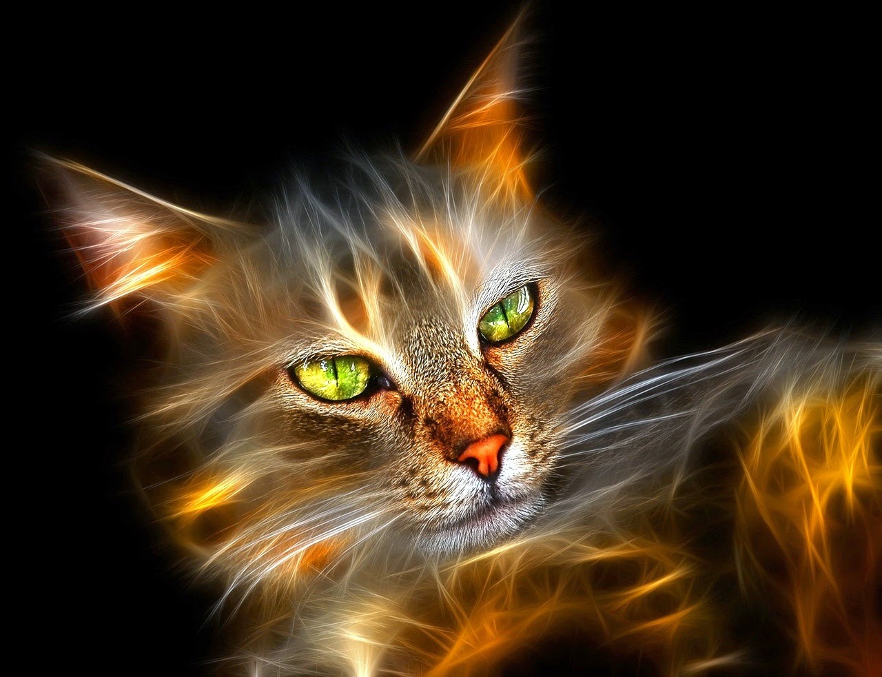 Blogateira SUSPIROS DA GATEIRA O Poder dos Gatos na Cura das Doenças