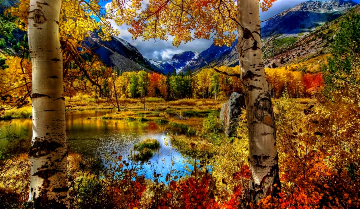 amazing autumn view 1366×768 wallpaper 7782 russianlanguage amazing autumn view 1366×768 wallpaper 7782 russianlanguage