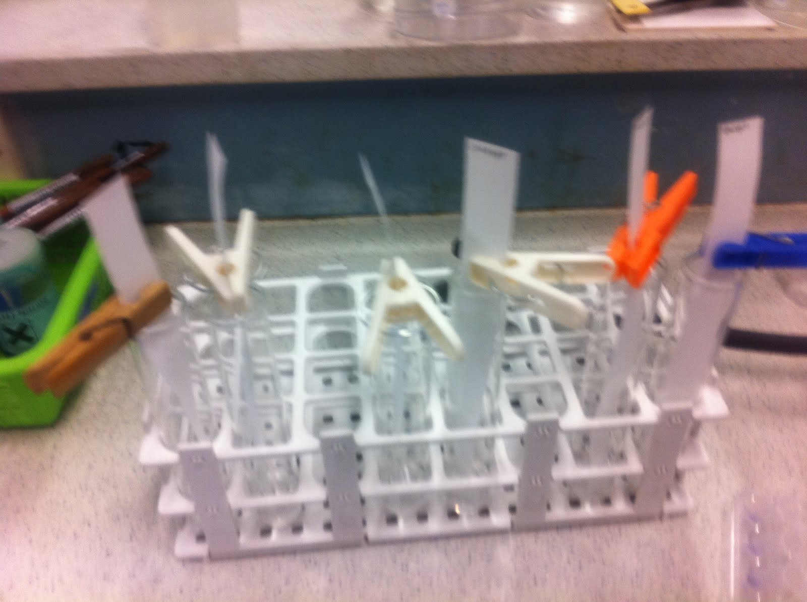 Crime Scene Investigation Chromatography and Flames