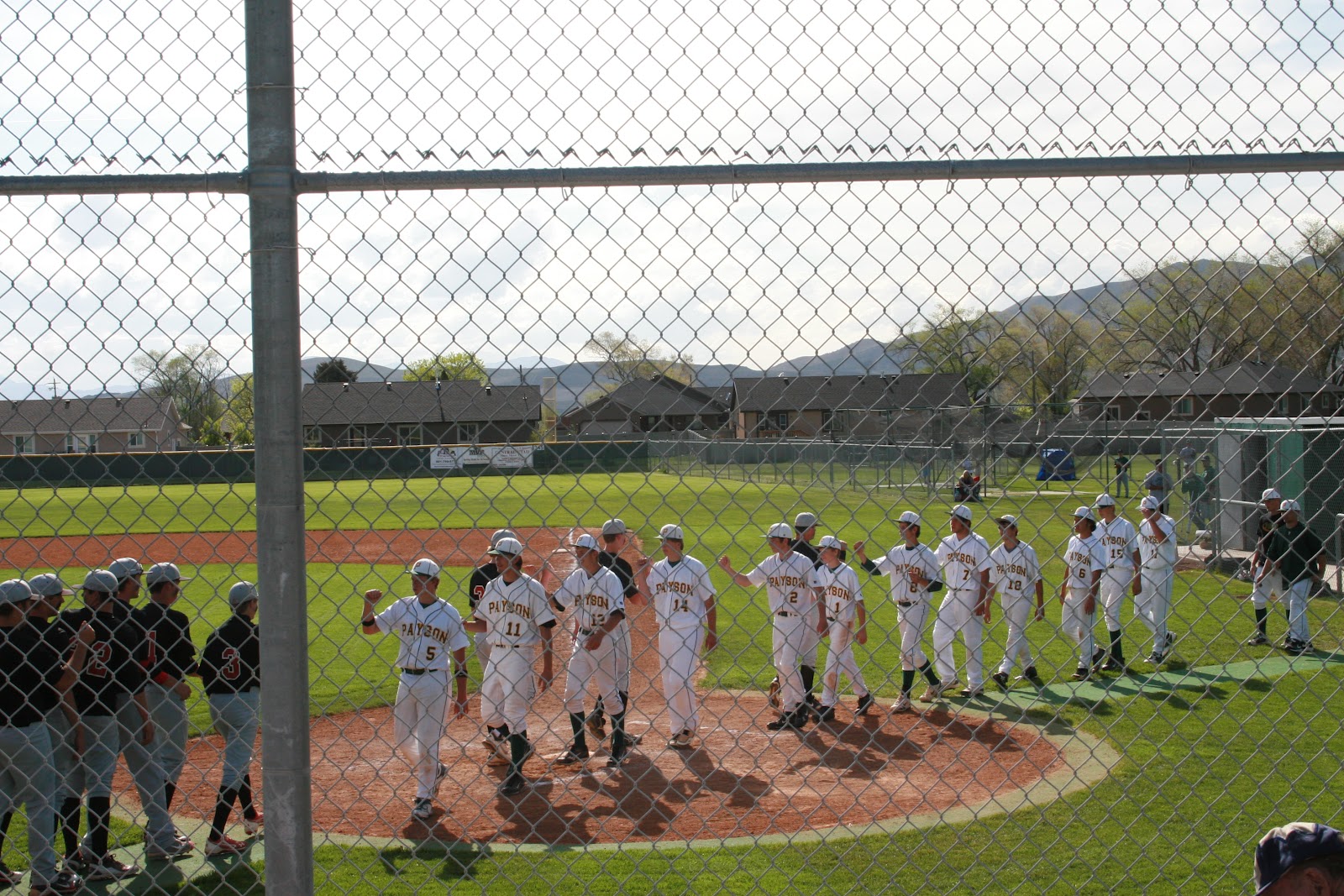 sweet and savory seven Spanish Fork Baseball