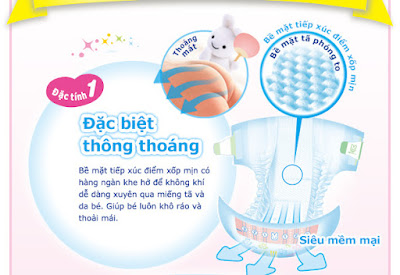 merries mặt đáy thoáng ẩm