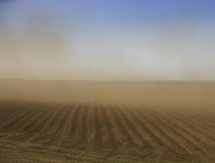 Dust Level High Environment Clean Generations