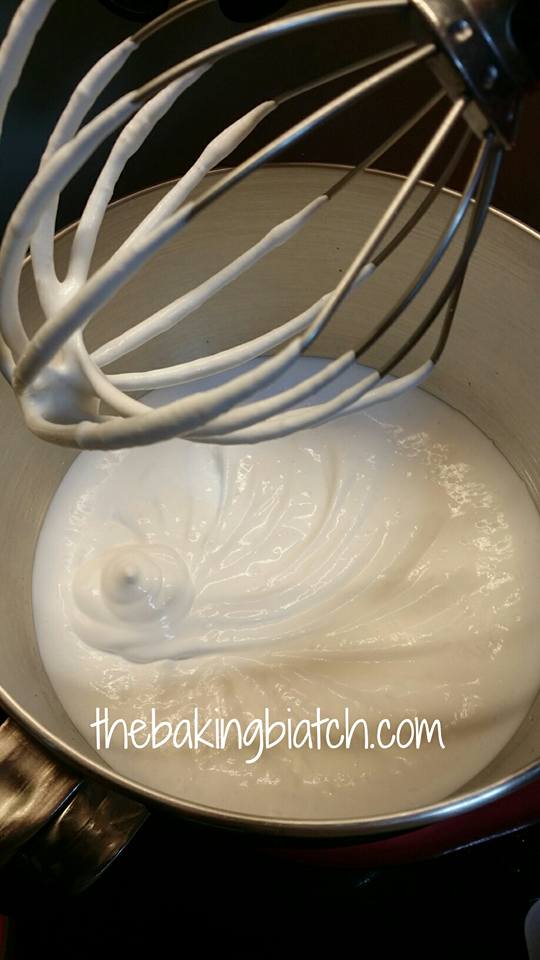 The Baking Biatch by Cynthia Lim 2 ingredient ice cream without machine