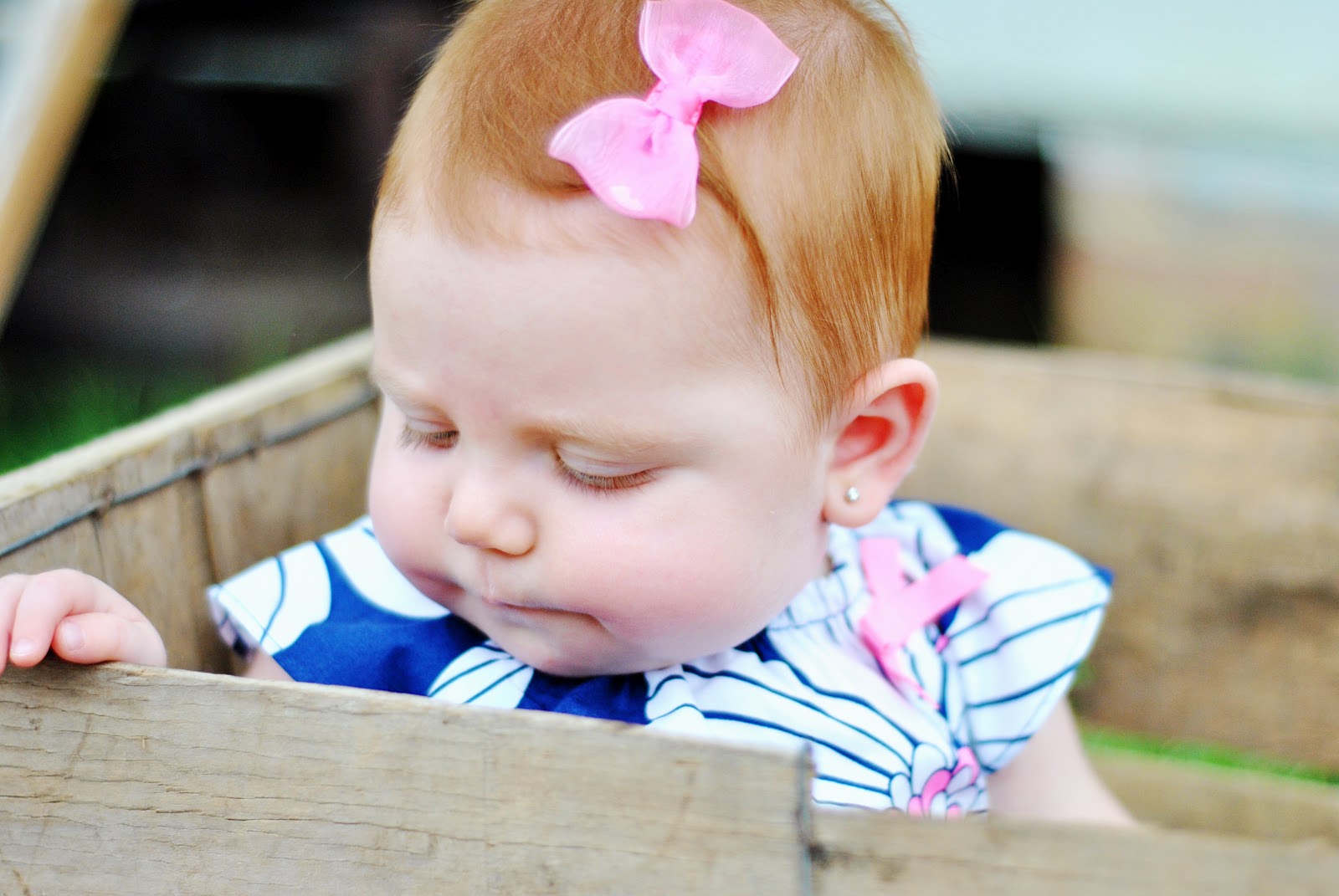 Carly Fogleman Photography The Faircloth Family