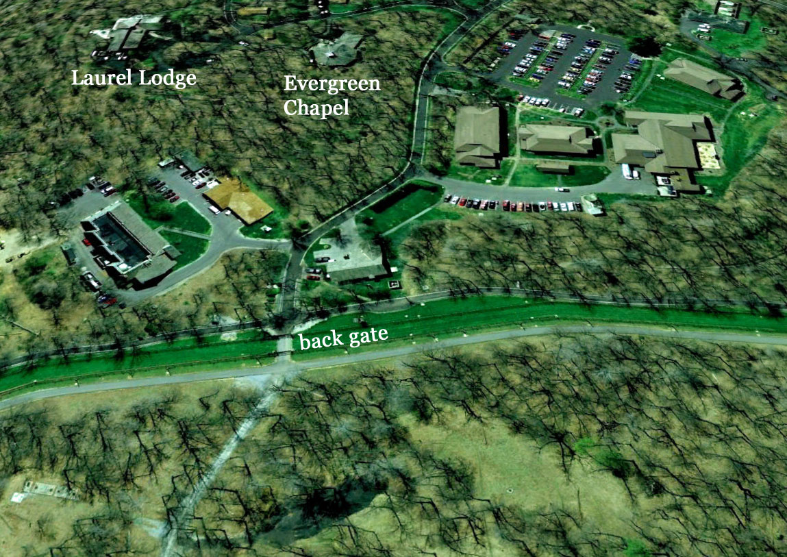 About Camp David Horseback Riding