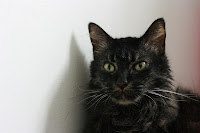 in memory of my beloved