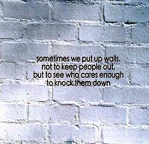 Putting Up Walls Quotes. QuotesGram