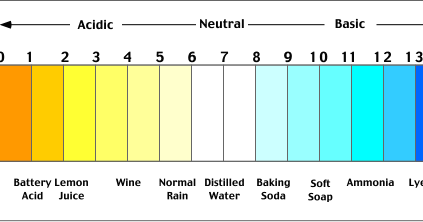 INTIMATE FITNESS (TM): PRONE TO YEAST INFECTIONS AND DISEASES?