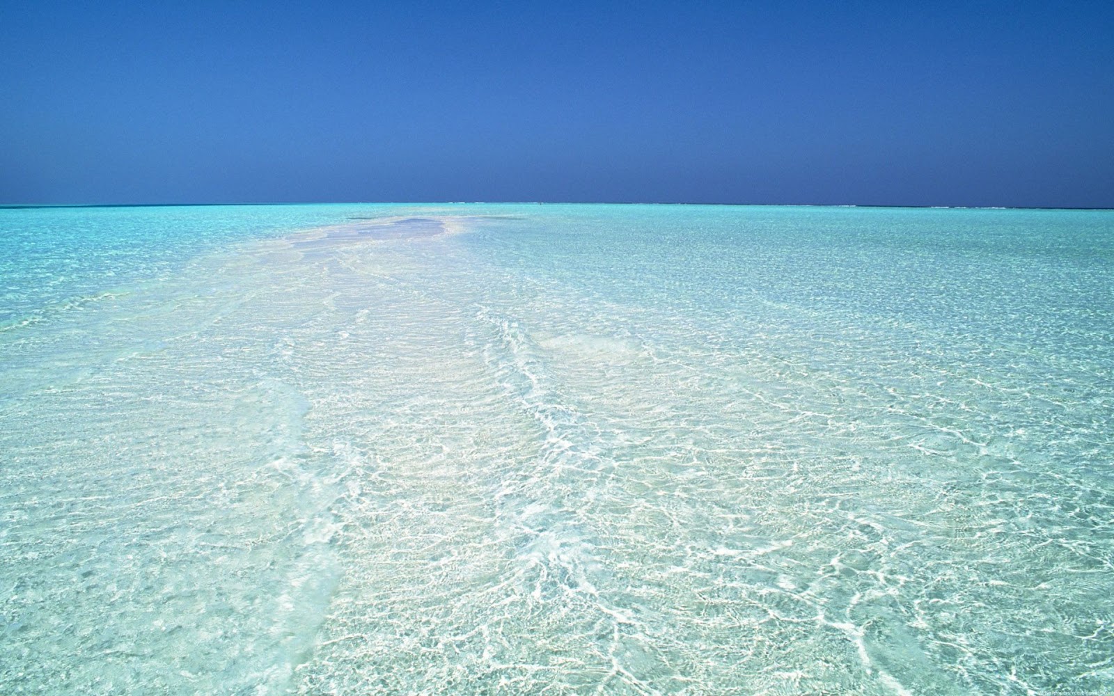 http://3.bp.blogspot.com/-Nad_wnmcunA/UCtqCeLPi2I/AAAAAAAAMmw/fkMwO6TtNWo/s1600/crystal-clear-water.jpg