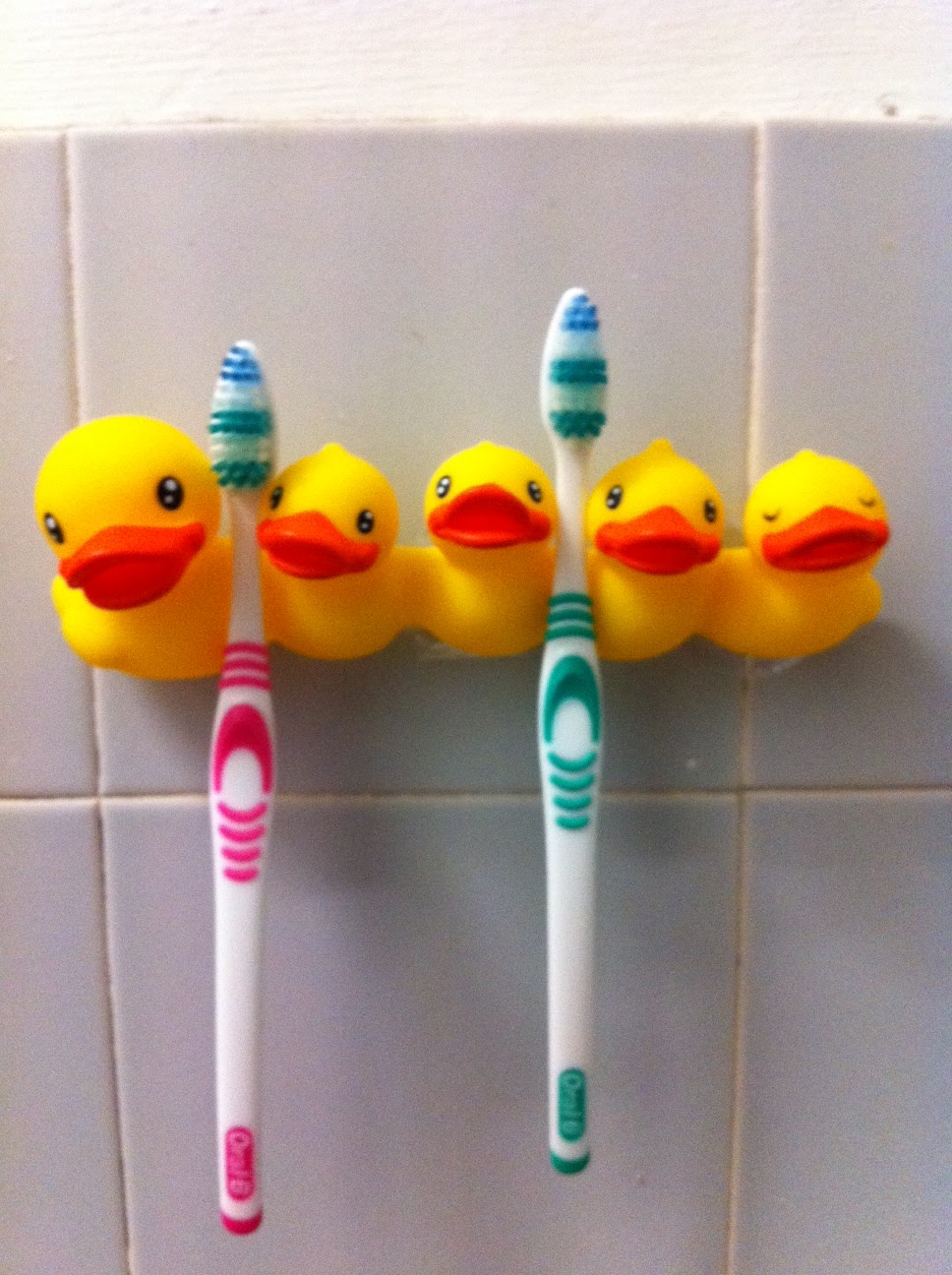 My Duck Collection Ducky toothbrush holder