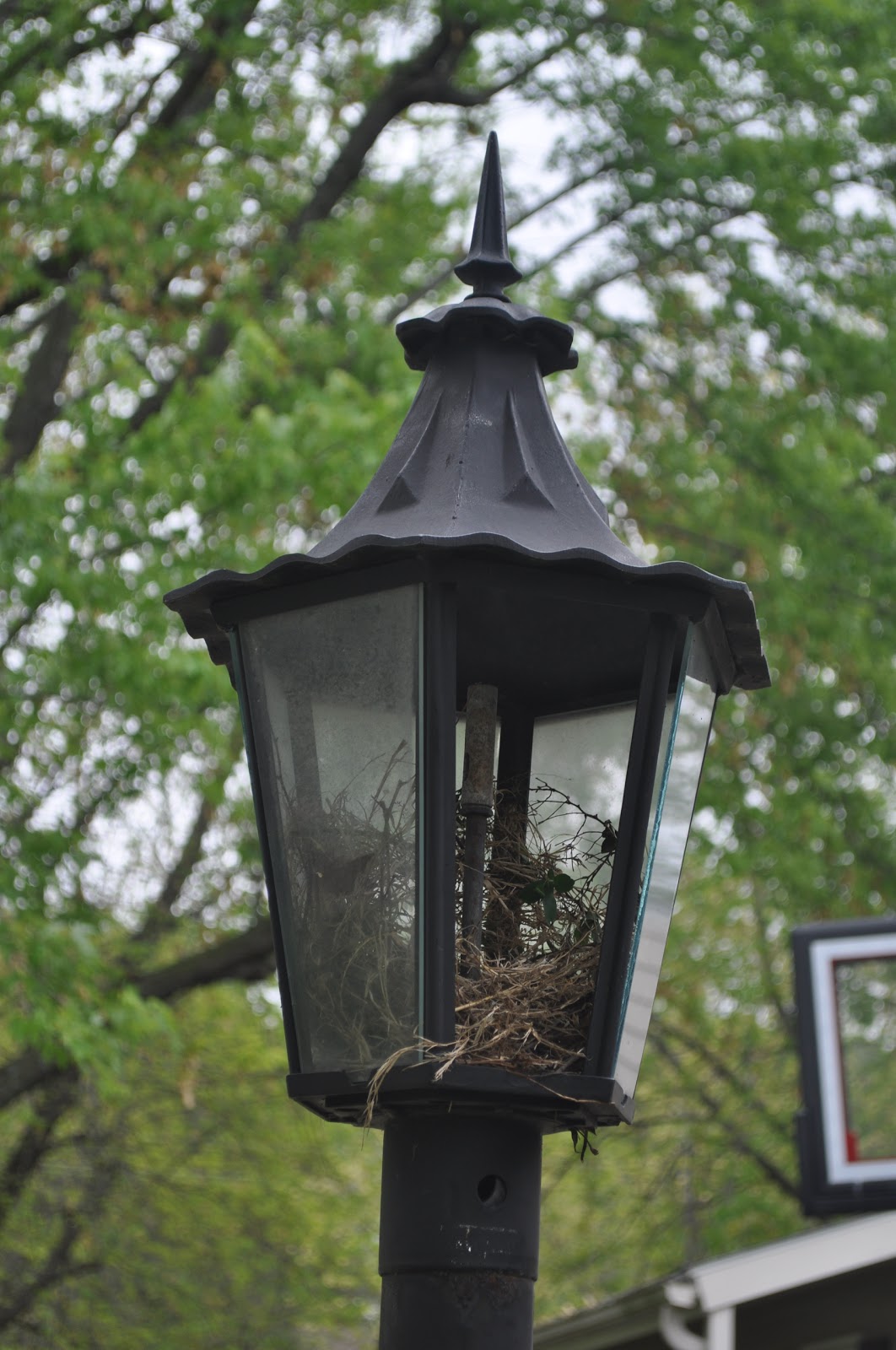 IowaSmiths Lamp Post Bird's Nest