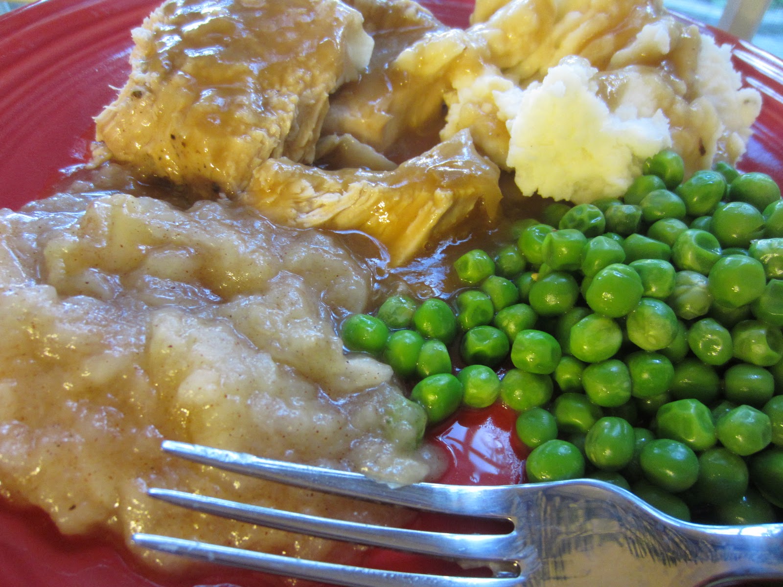 Crockpot PotRoasted Pork Loin w/ Onion Gravy Renee's Kitchen Adventures