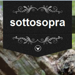 sottosopra