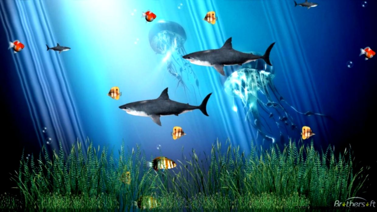 Gif Wallpaper Windows 7 Free Download Wallpapers Records Gif Wallpaper Windows 7 Free Download Wallpapers Records