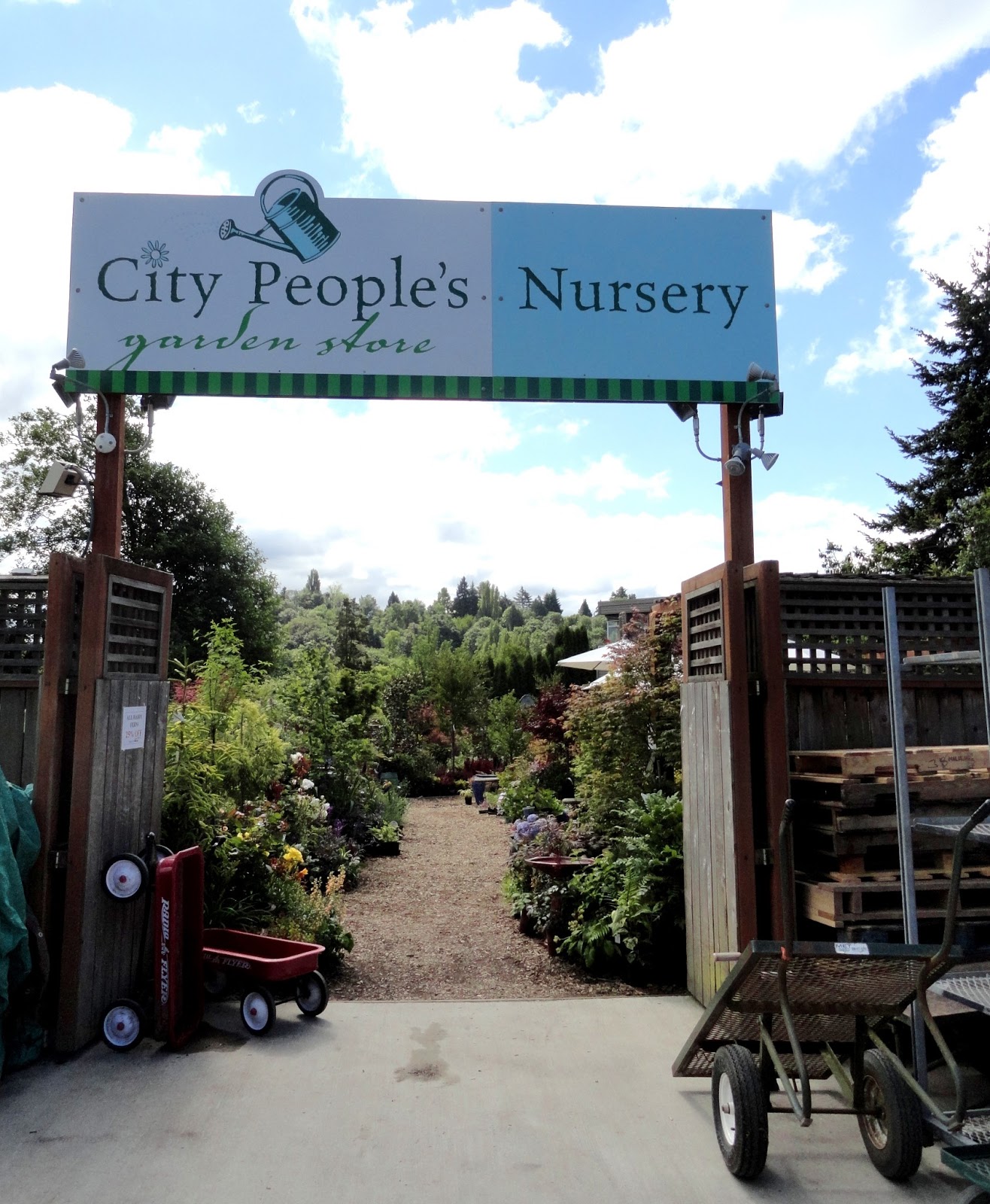 danger garden: More from my nursery stops in Washington...