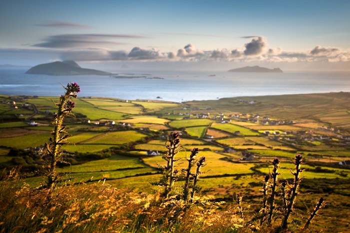 Красивые пейзажи Ирландии (16 фото)