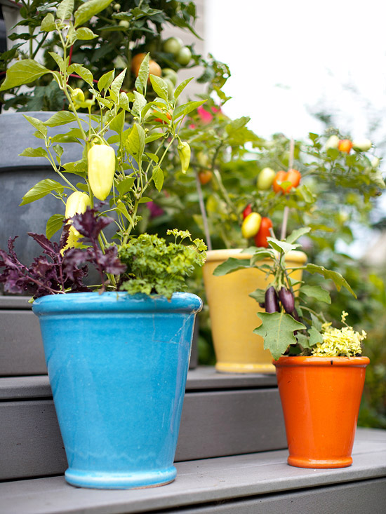 Cottage Garden Fresh Ideas for Growing Vegetables in Containers