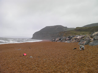 fossil beach dorset jurassic coast