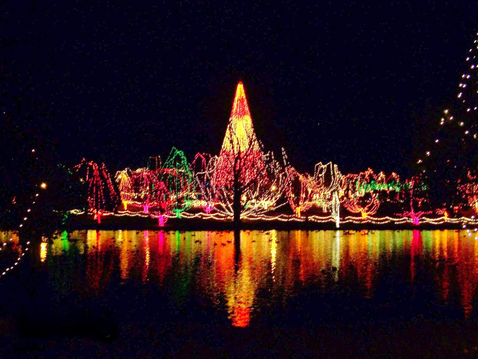 Texasdaisey Creations Festival of Lights
