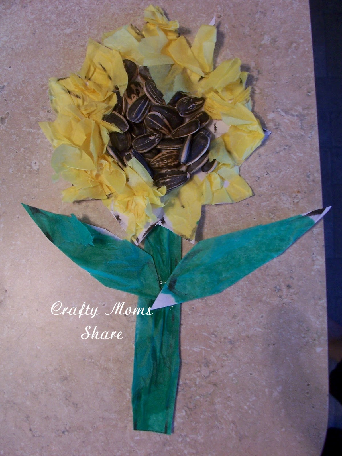 Sunflower Seed Craft