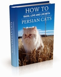 PERSIAN CATS HOW TO BOOK - CLICK ON BOOK