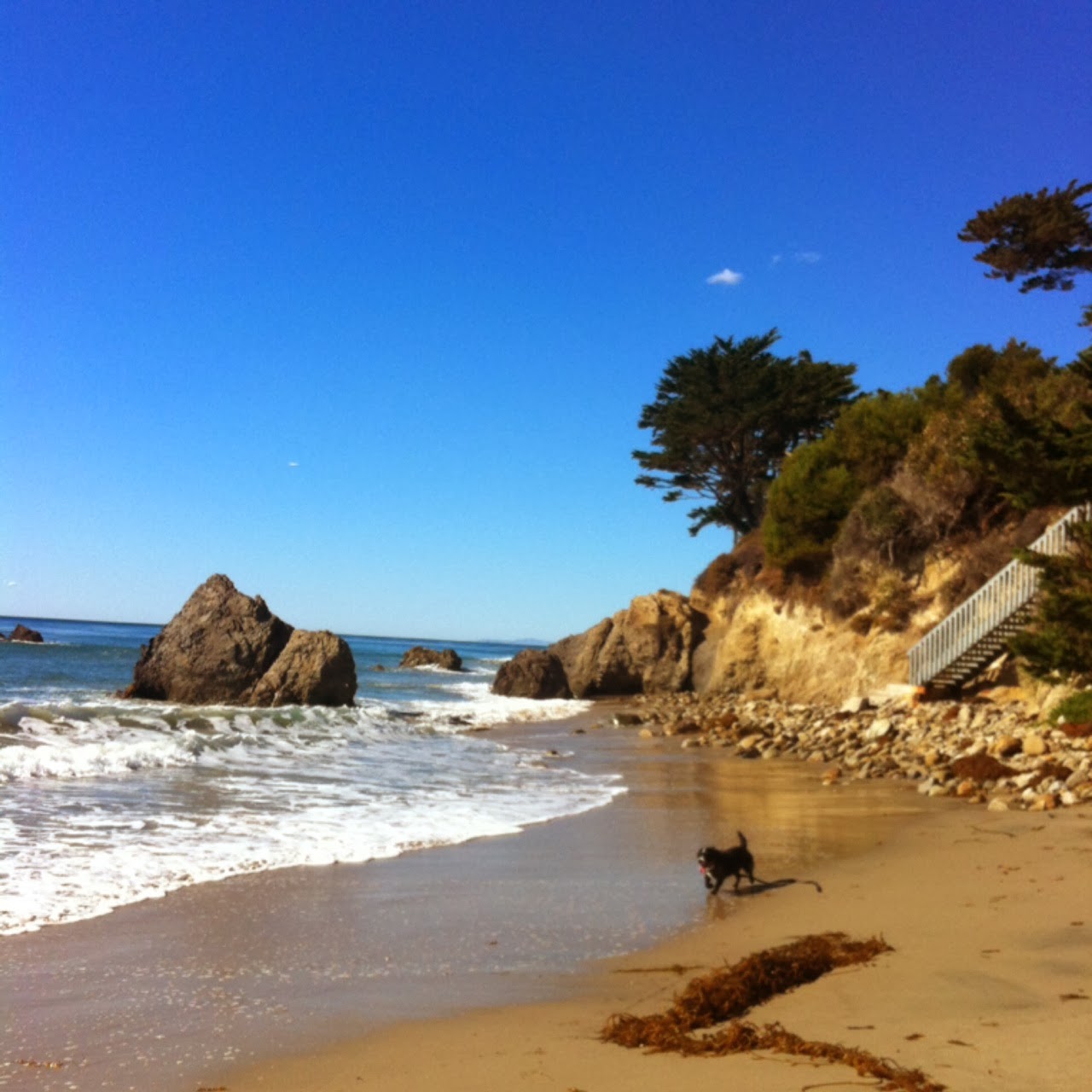 lechuza beach malibu lechuza beach malibu