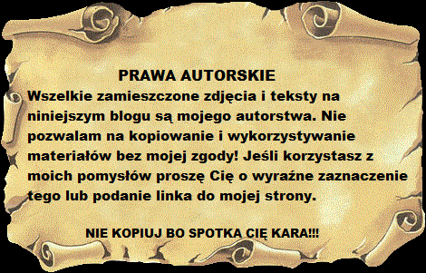 Prawa Autorskie