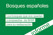 Bosques-Informe WWF