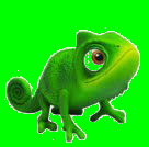 ♪♫ iguanito