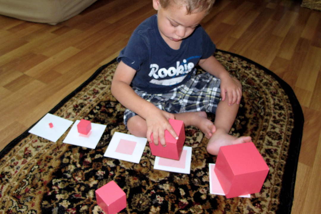 Peaceful Parenting The Importance of Sorting Activities Why & How