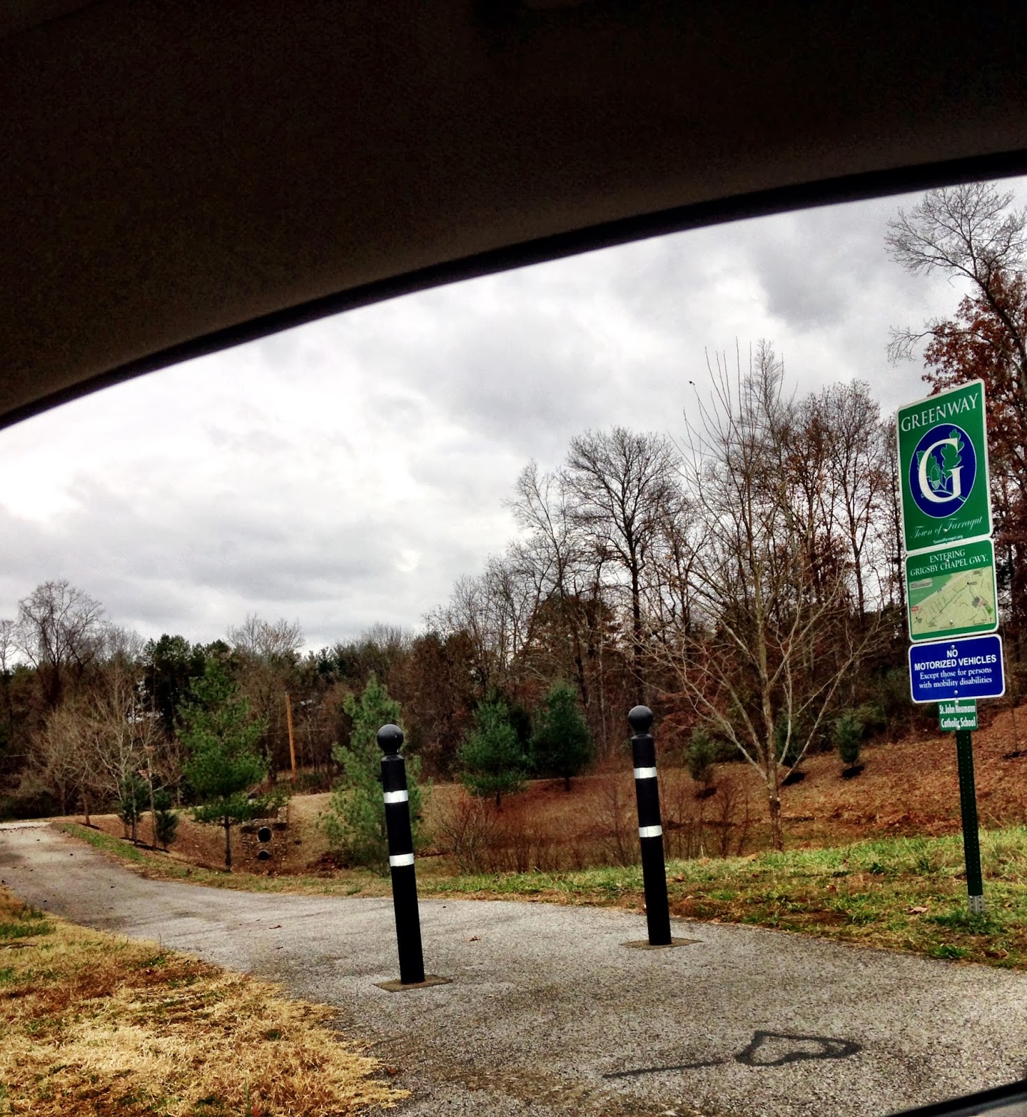 12341 Cotton Blossom Lane