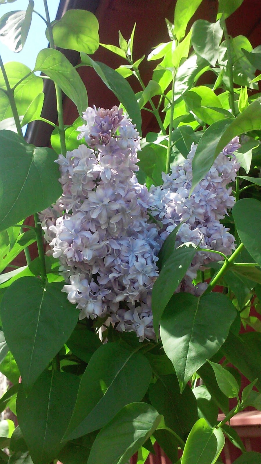 Color of the Month April 2015 Lilac My WAHM Plan