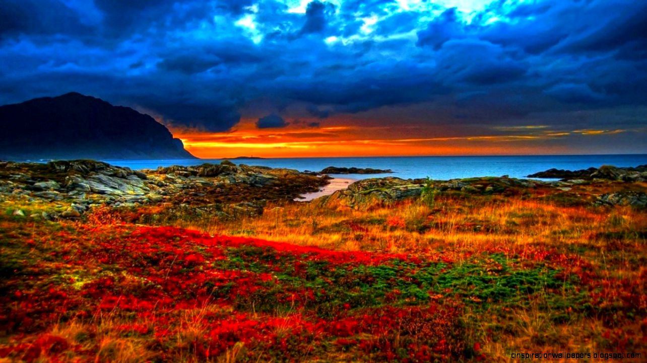 Nature Free Desktop Wallpapers Obtain HD Images New Nature Free Desktop Wallpapers Obtain HD Images New