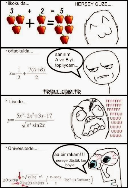 matematiğin evrimi
