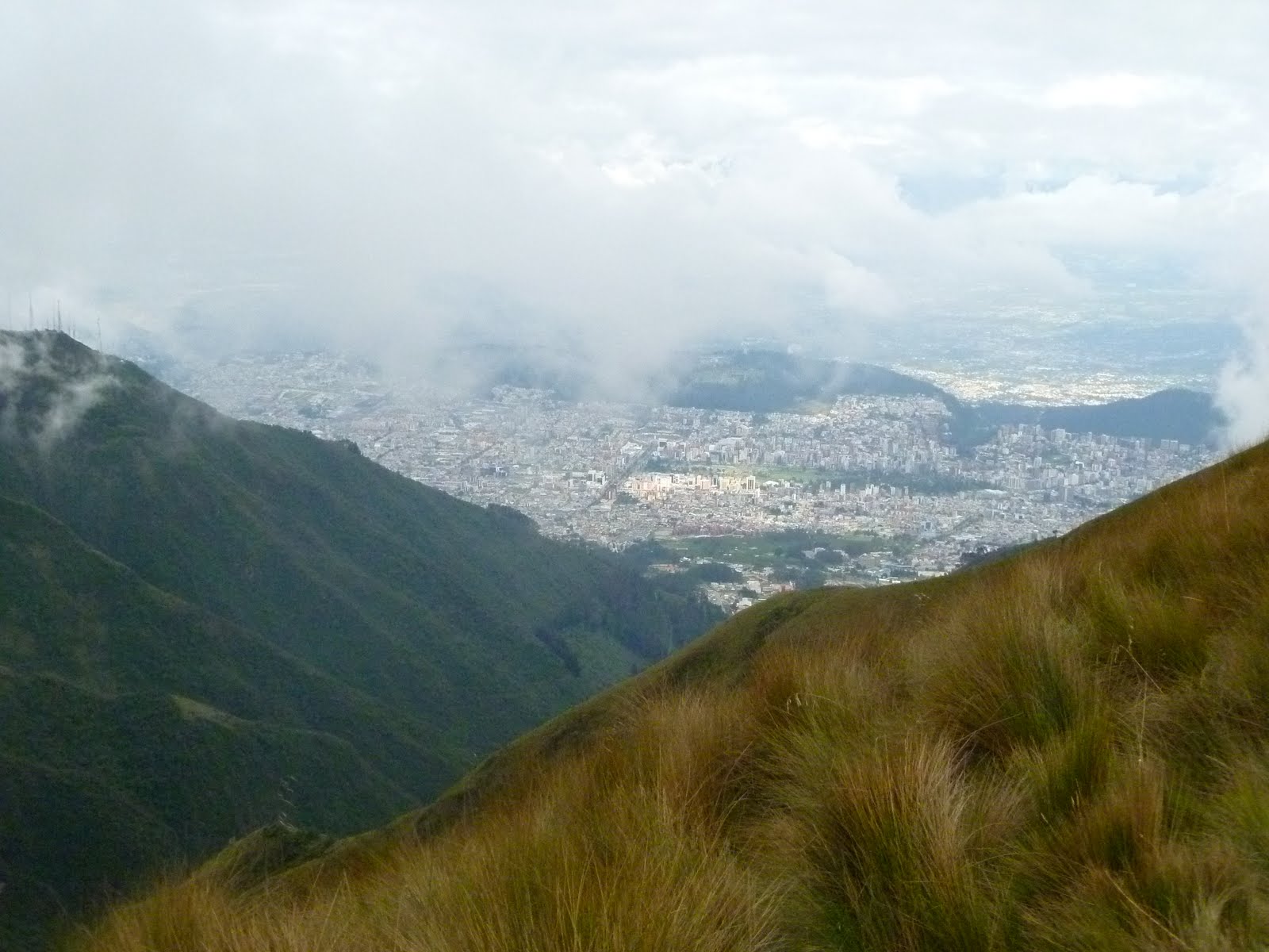 Cricketeer Quito with altitude