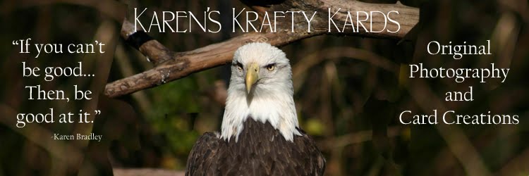 Karen's Krafty Cards
