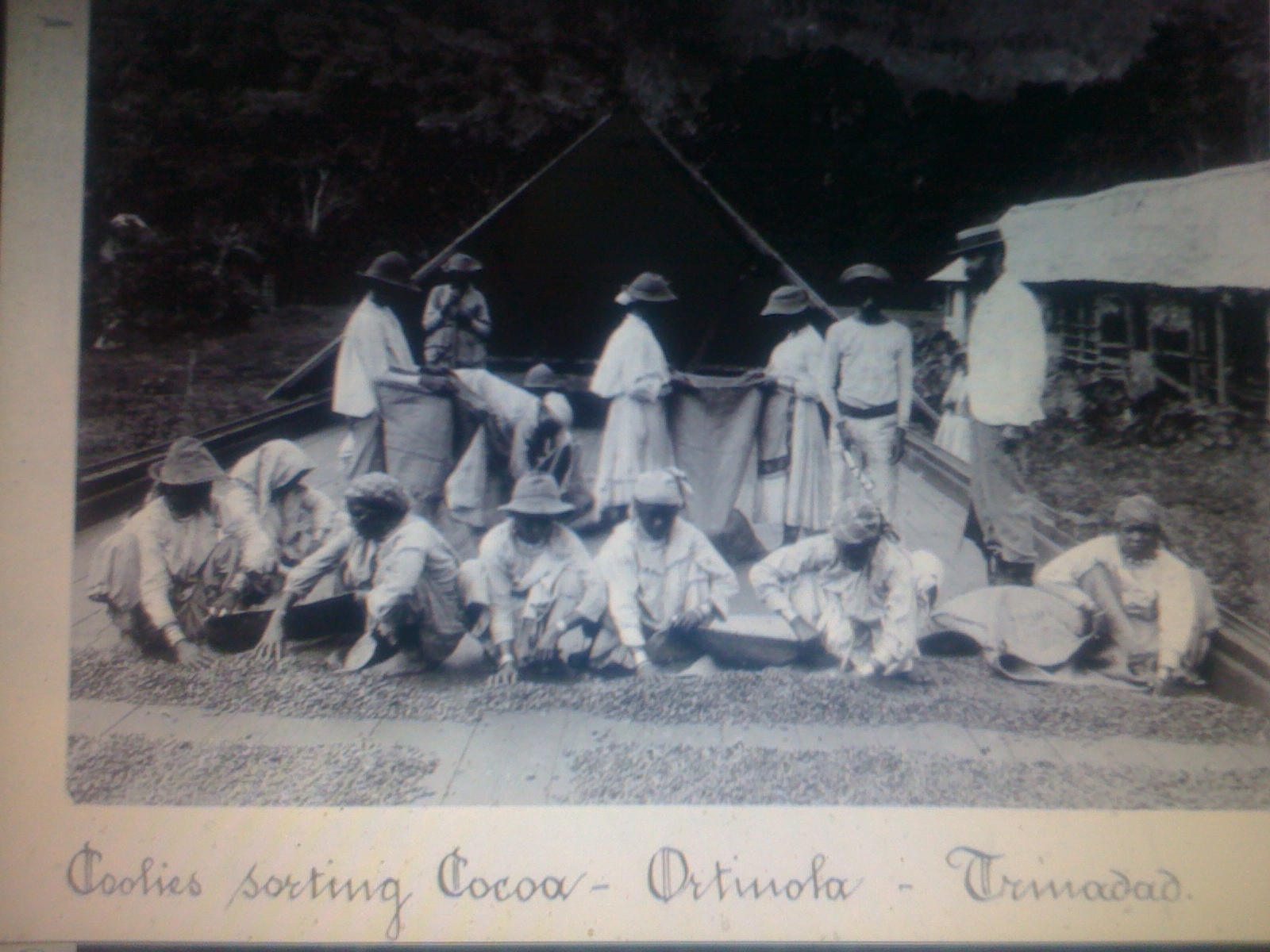 THE BLACK SOCIAL HISTORY BLACK SOCIAL HISTORY SLAVERY AND SLAVE