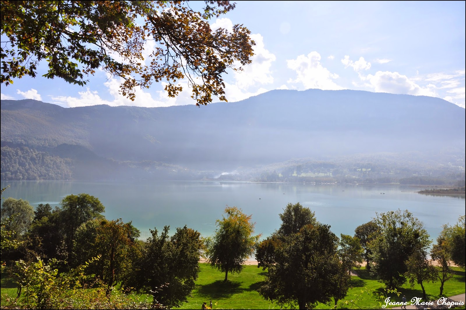 Jardin Et Plantes Du Lac