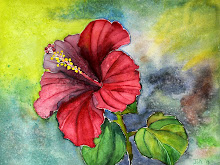 Hibiscus